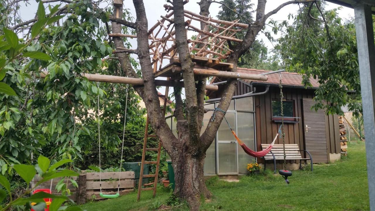 Ferienwohnung Adelhardt Eckersdorf المظهر الخارجي الصورة
